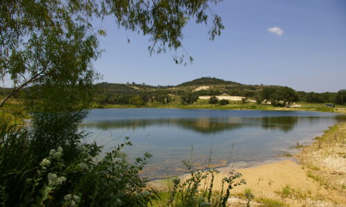 Brushy Top Mountain Ranch